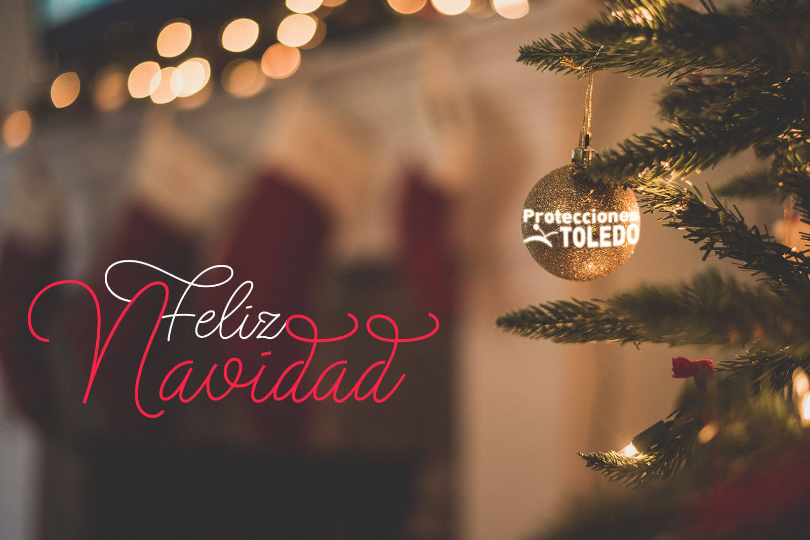 Felices Fiestas 2021 Protecciones Toledo